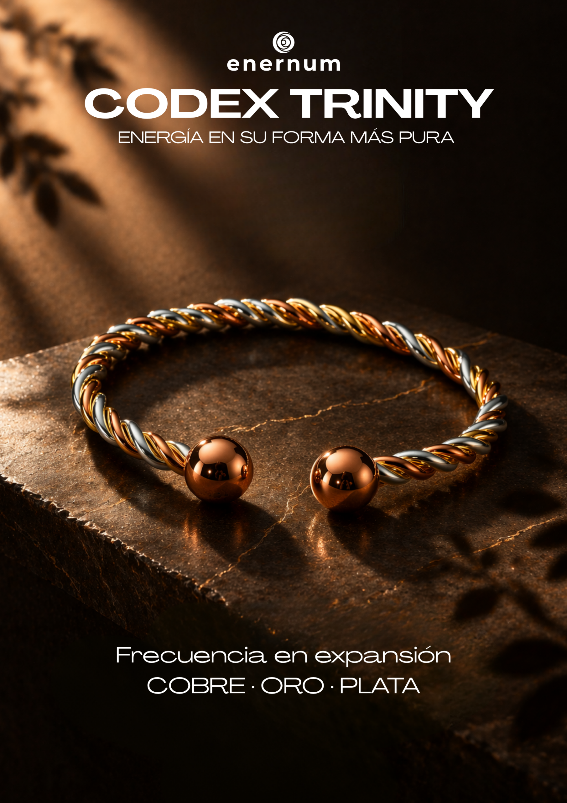 codex trinity - Imagen 2